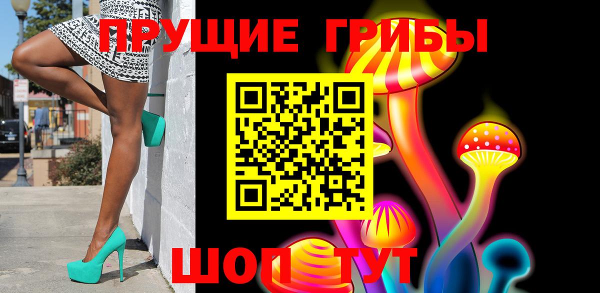 Усть-Кут  Псилоцибиновые грибы мицелий  Вход с VPN 